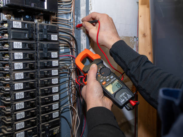 Best Electric Panel Repair  in Erie, IL